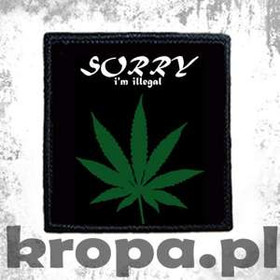 Naszywka SORRY... 02